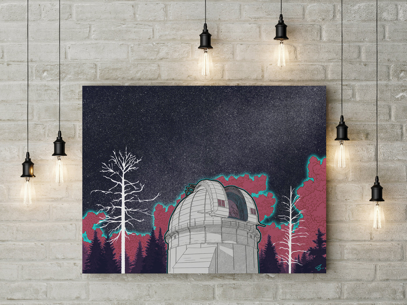 "New Astronomy" Canvas - Mount Wilson Observatory